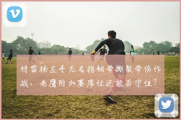 特雷杨左手无名指韧带撕裂带伤作战，老鹰附加赛席位还能否守住？