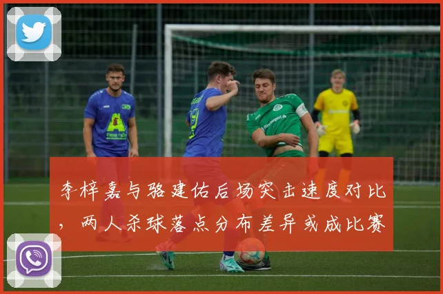 李梓嘉与骆建佑后场突击速度对比,两人杀球落点分布差异或成比赛转折点